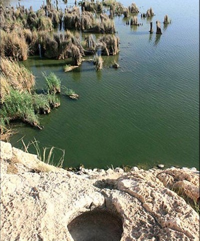 naser ramezani parishan lake, Dena
