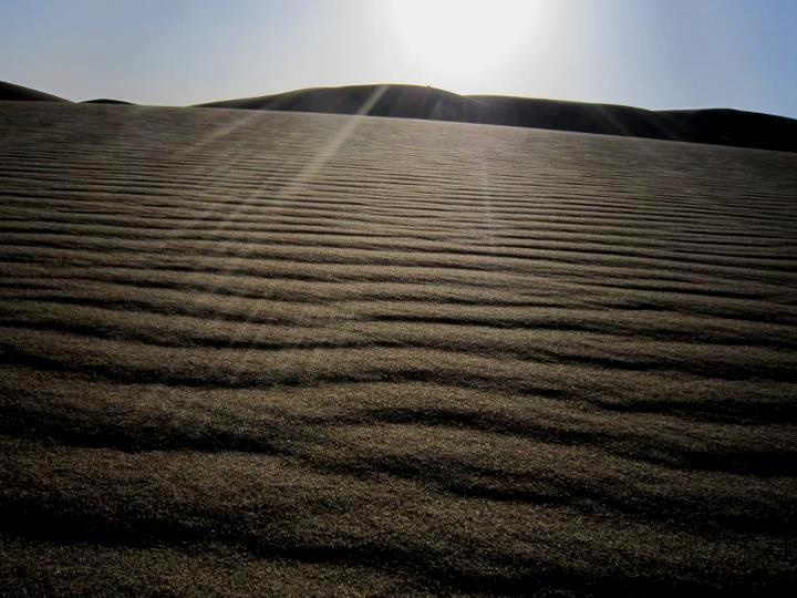 naser ramezani mesr desert, Karkas