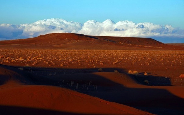 naser ramezani mesr desert, Karkas