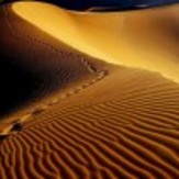 naser ramezani mesr desert, Karkas