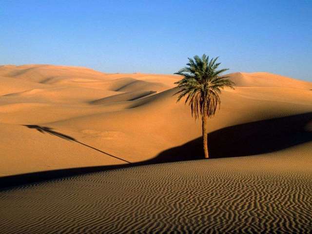 naser ramezani mesr desert, Karkas