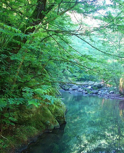 naser ramezani laton water fall(spinas forest), سبلان