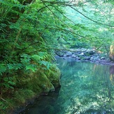 naser ramezani laton water fall(spinas forest), سبلان