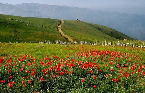 naser ramezani soobatan, سبلان