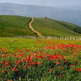 naser ramezani soobatan, سبلان