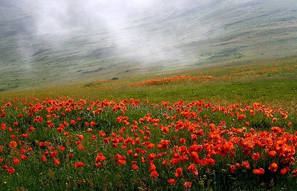 naser ramezani soobatan, سبلان