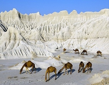 naser ramezani martial mountain, تفتان‎‎