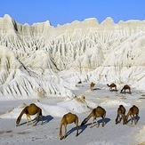 naser ramezani martial mountain, تفتان‎‎