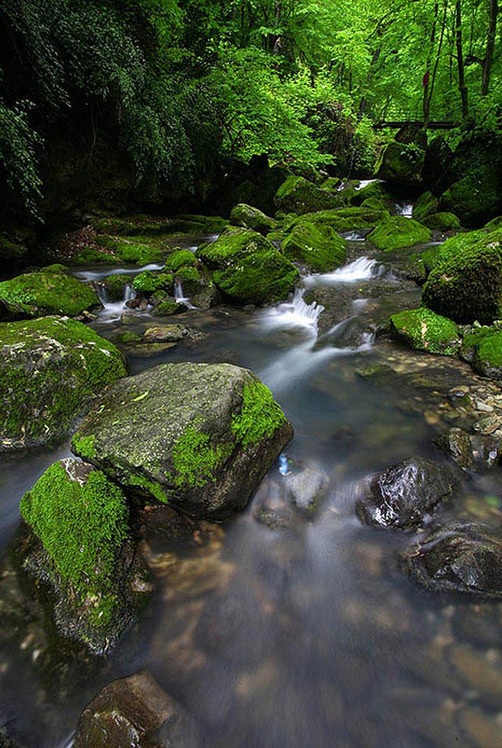 naser ramezani shirabad water fall