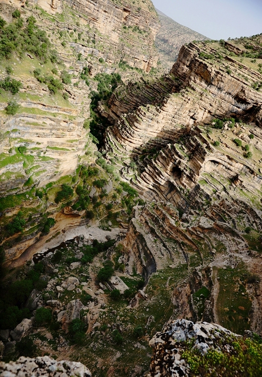 naser ramezani Shirez valley, سن بران