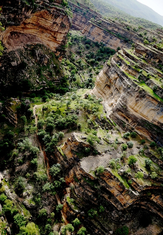 naser ramezani Shirez valley, سن بران