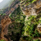 naser ramezani Shirez valley, سن بران