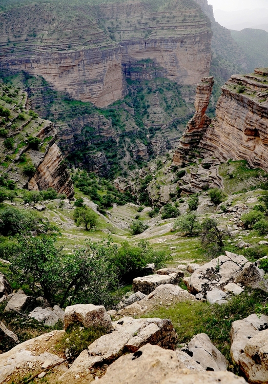 naser ramezani Shirez valley, سن بران