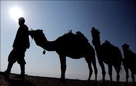 naser ramezani mesr desert, Karkas