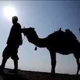 naser ramezani mesr desert, Karkas