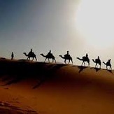 naser ramezani mesr desert, Karkas