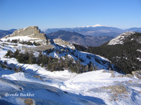 Summit View, Mount Chocorua photo