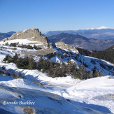 Summit View, Mount Chocorua