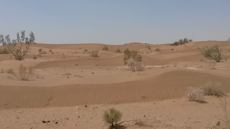 naser ramezani iran central desert, Karkas