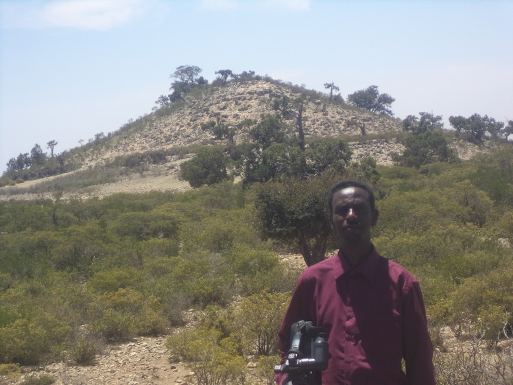 Sheba Mountain
