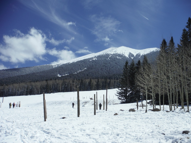 Humphreys Peak weather