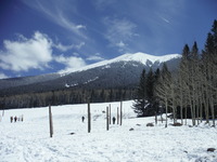 Humphrey's Peak, Humphreys Peak photo