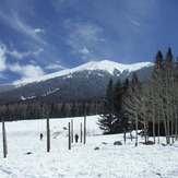 Humphrey's Peak, Humphreys Peak