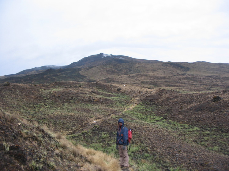 around 3200 m, Cameroon Mountain