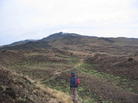 around 3200 m, Cameroon Mountain photo