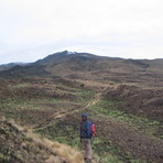 around 3200 m, Cameroon Mountain