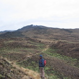 around 3200 m, Cameroon Mountain