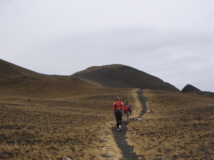 Last section of the trail to the summit, Cameroon Mountain