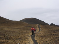 Last section of the trail to the summit, Cameroon Mountain photo