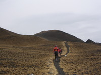 Last section of the trail to the summit, Cameroon Mountain photo