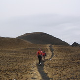 Last section of the trail to the summit, Cameroon Mountain