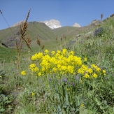 Spring Ascent, آزاد کوه‎‎