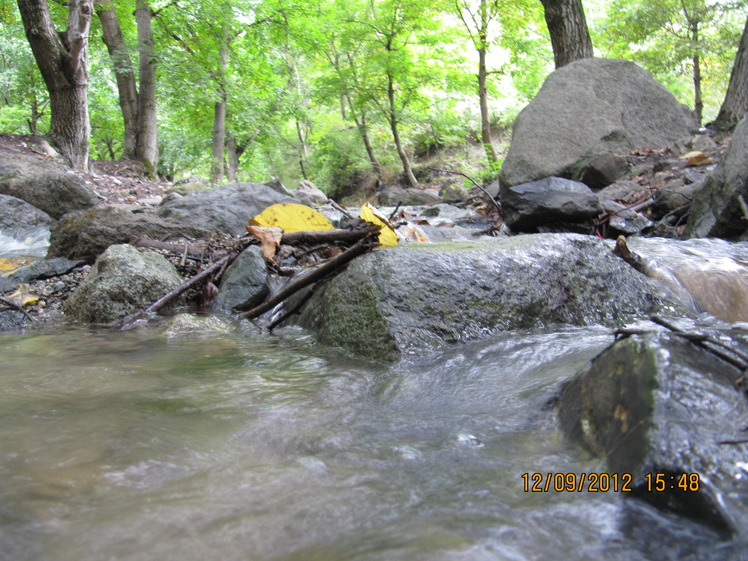 A stream near Babak castle