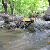 A stream near Babak castle