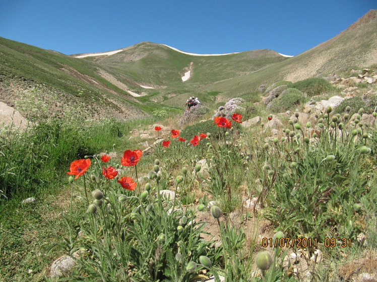 gollar route, Sahand