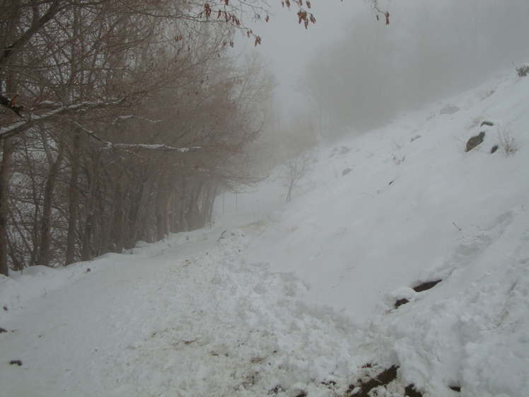 Last Winter, Kolakchal