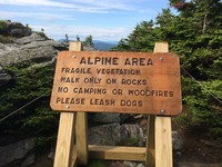 Sometimes we just have to obey the rules, Camels Hump photo