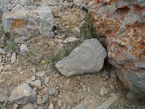 stone of angemar, Damavand (دماوند)