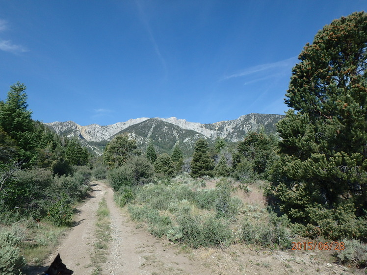 The long walk toward Currant Mountain