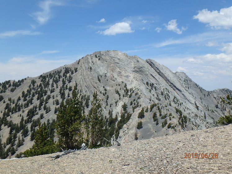 Currant Mountain