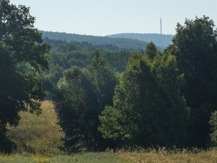 Łysiec / Łysa Góra / Święty Krzyż 595 m