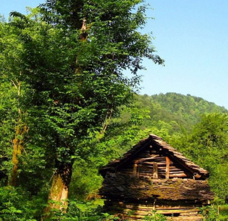 naser ramezani amol sangchal forest, Damavand (دماوند)