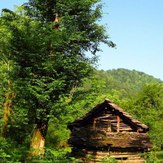 naser ramezani amol sangchal forest, Damavand (دماوند)