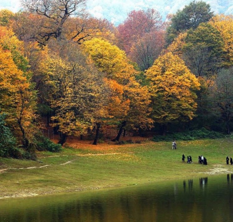 naser ramezani Naharkhoran forest