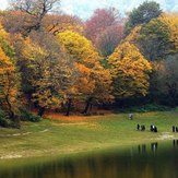 naser ramezani Naharkhoran forest