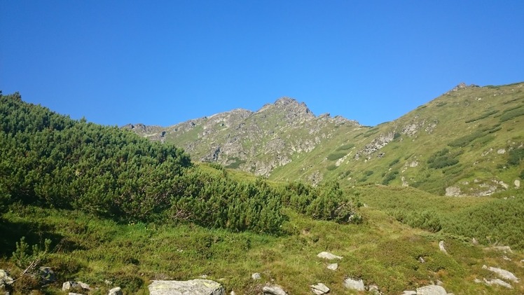 Pietrosul Mare from tent camp close to Smiling lake